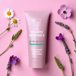 7 Plante Medicinale Transilvaniei